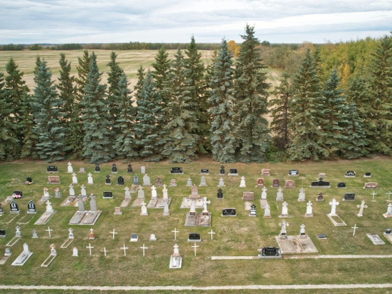 leeshore cem