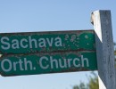 sachava2